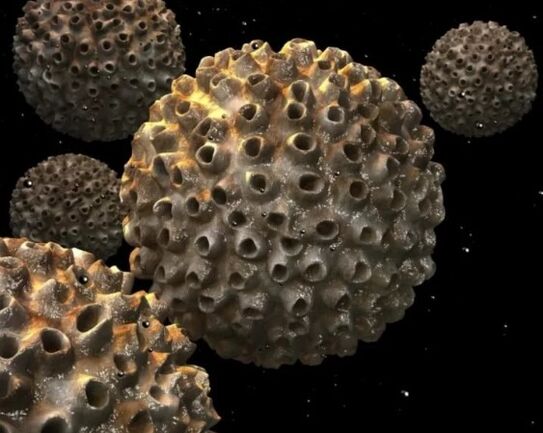 Papillomavirus